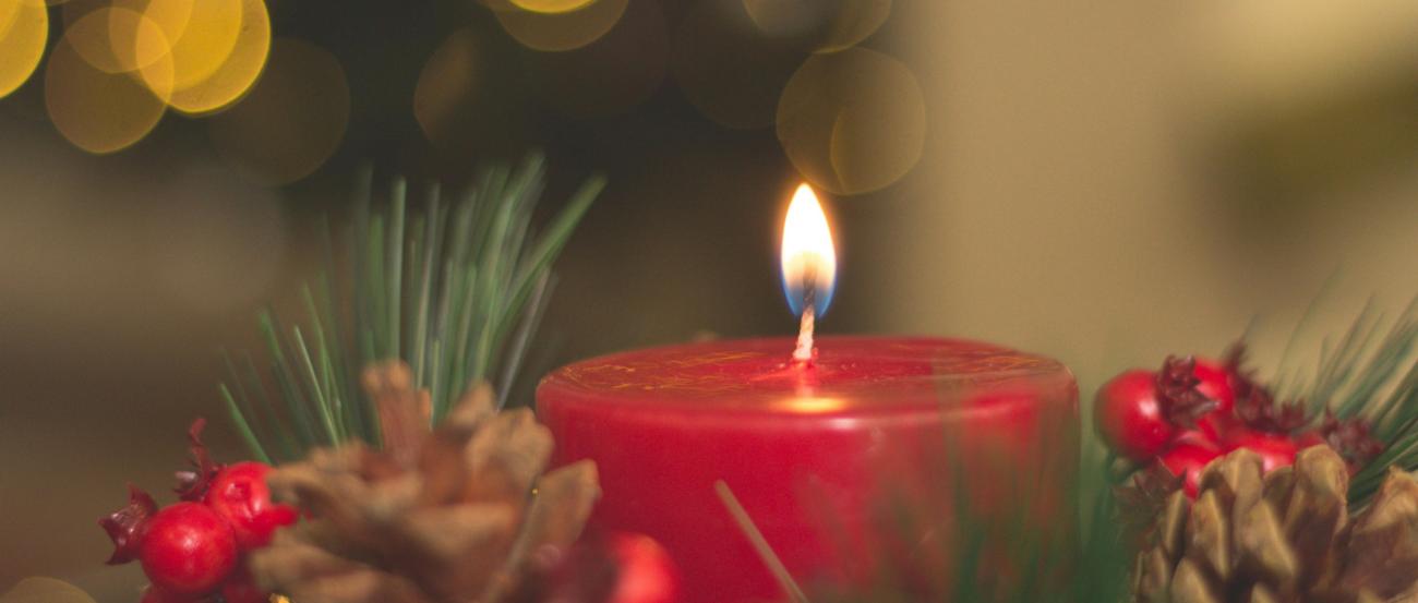 pexels-nubikini-714898