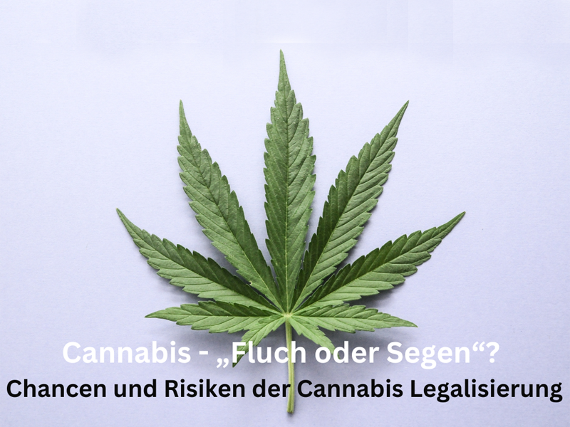 Cannabis - „Fluch oder Segen“ Chancen und Risiken der Cannabis Legalisierung
