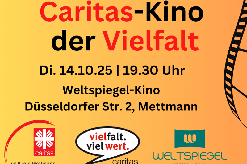 Kino der Vielfalt web