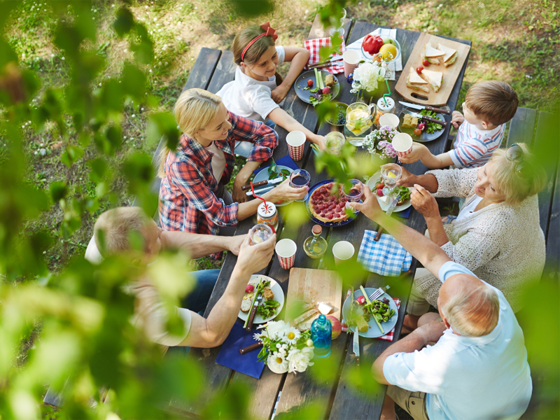 Picknick Canva
